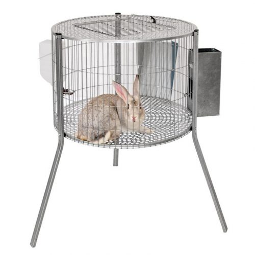 cage-males-lapin