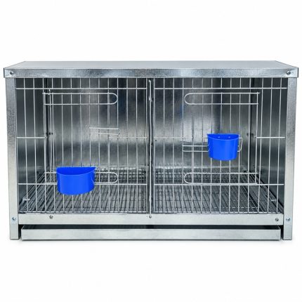 Cage double pour pigeon
